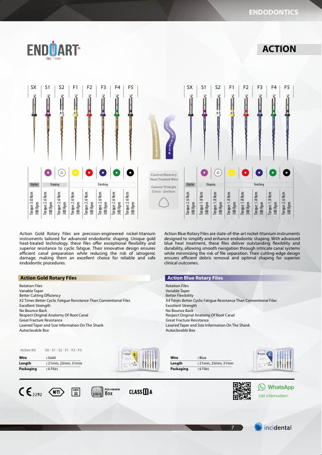 EndoArt Action Rotary Files catalog page