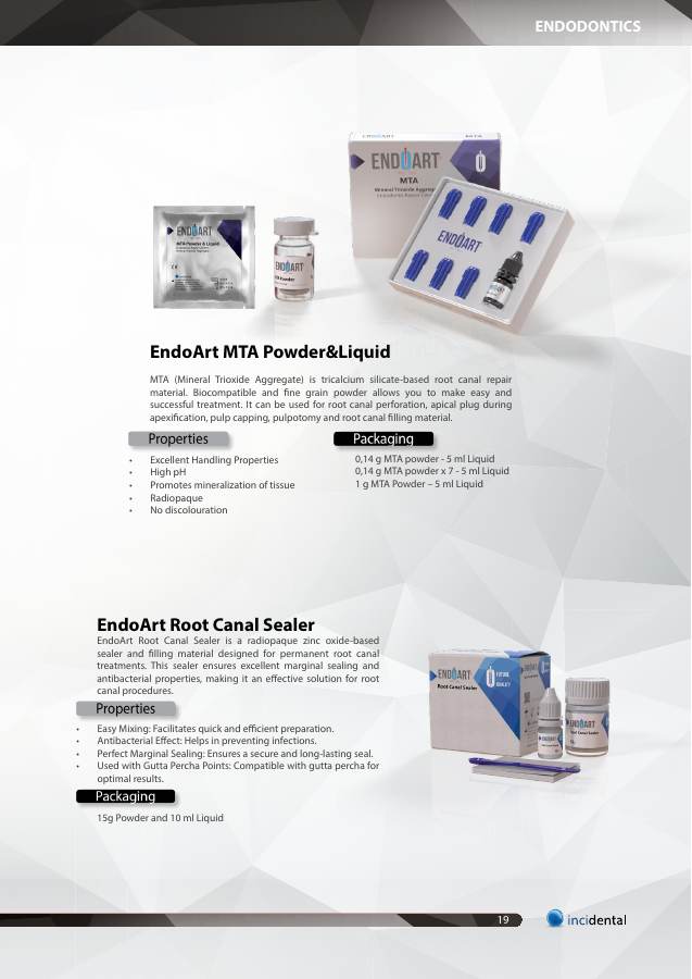 EndoArt Root Canal Sealer catalog page